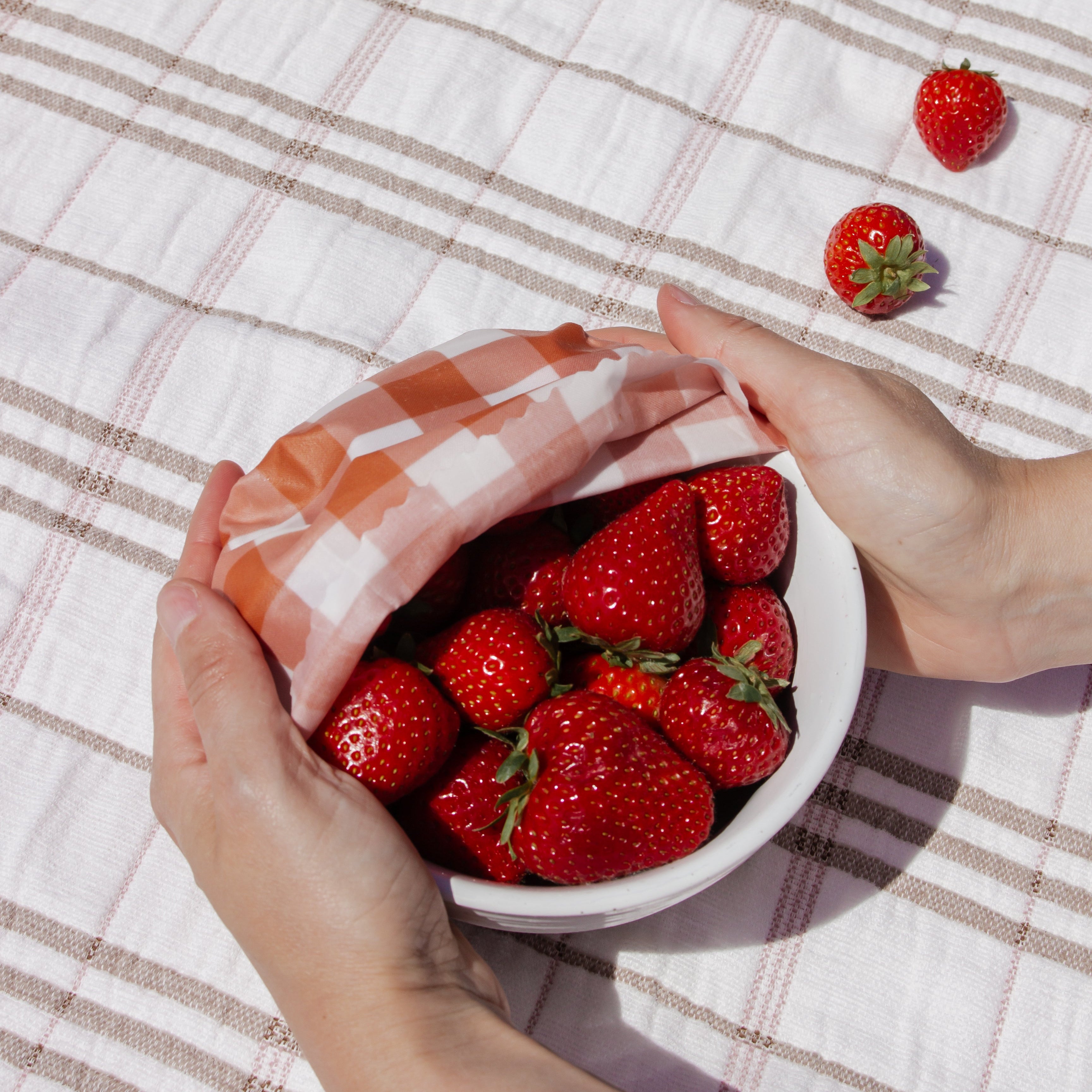 Beeswax Food Wraps: Farmer's Market Set of 3