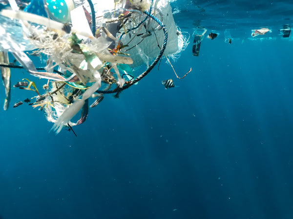 6 Ways You Can Help Fight Plastic In Our Oceans