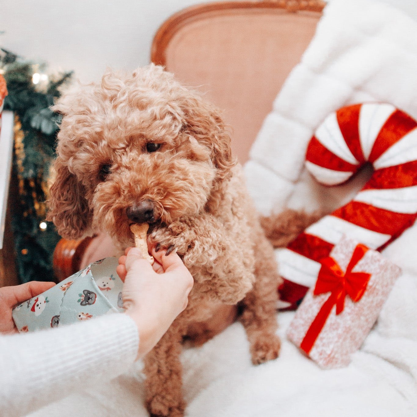 Christmas Pups Single Medium Beeswax Wrap